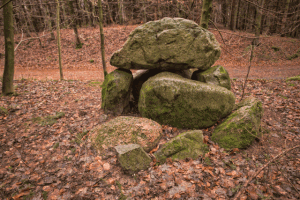 Großsteingrab im Wald